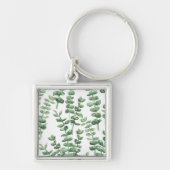 Eukalyptus 1 schlüsselanhänger (Vorne)
