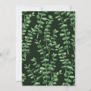 Eukalyptus 2