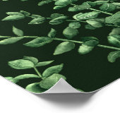 Eukalyptus 2 poster (Ecke)