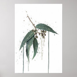 Eukalyptus (australisch) poster