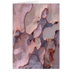 Eukalyptus Bark