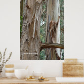 Eukalyptus Bark Poster (Küche)