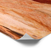 Eukalyptus Bark Poster (Ecke)