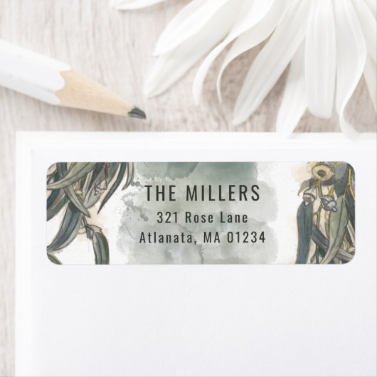 Eukalyptus-Blätter (Insitu)