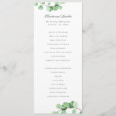 Eukalyptus-Blätter für moderne Grünpflanzen Programm (Vorderseite)