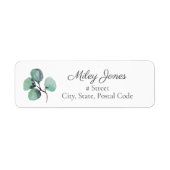 Eukalyptus-Blätter für Wasserfarben geben das Adre (Vorne)