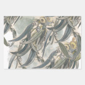 Eukalyptus-Blätter Geschenkpapier Set (Vorderseite 2)