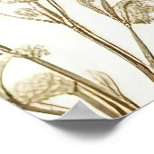 Eukalyptus-Blätter Muster Poster (Ecke)