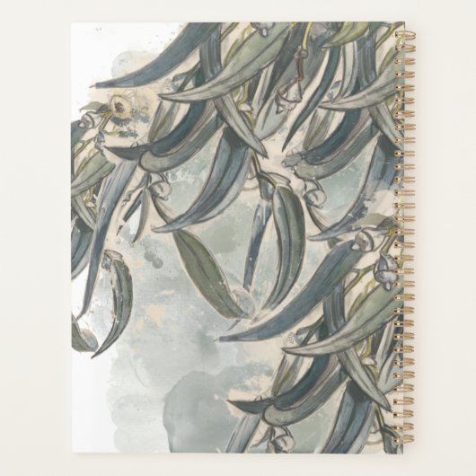 Eukalyptus-Blätter Planer (Rückseite)