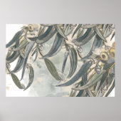 Eukalyptus-Blätter Poster (Vorne)