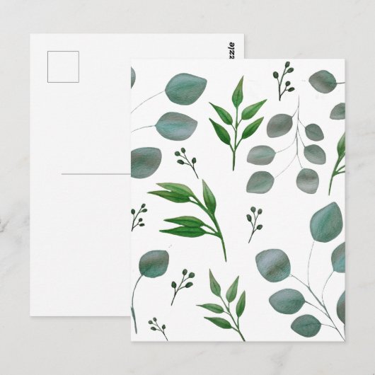 Eukalyptus-Blätter Postkarte (Vorne/Hinten)
