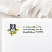 Eukalyptus-Border-Collie-Dose (Insitu)