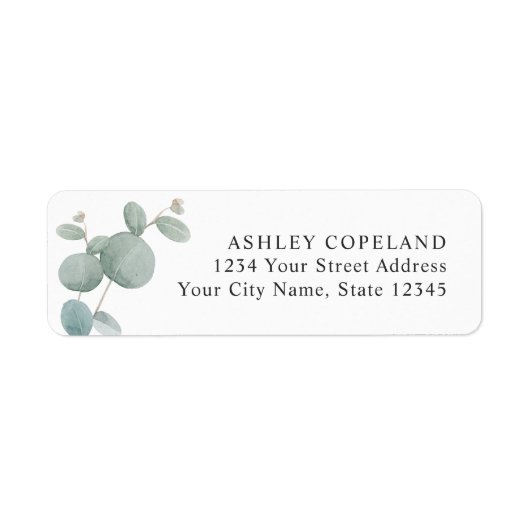 Eukalyptus Botanischer Garten (Vorne)