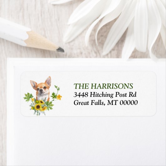 Eukalyptus Brown Chihuahua (Insitu)