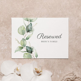 Eukalyptus Foliage Botanisches Hochzeitssegment vo