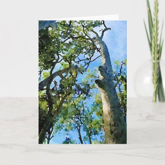 Eukalyptus Forest Feiertagskarte (Vorderseite)
