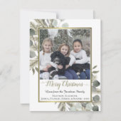 Eukalyptus & Golden Pine Foto Feiertagskarte (Vorderseite)