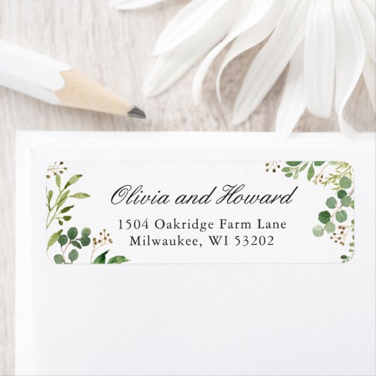 Eukalyptus Greenerage Foliage Blätter (Insitu)