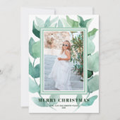 Eukalyptus Grünes Foto Feiertagskarte (Vorderseite)