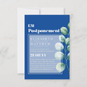 Eukalyptus-Grünpflanzen Aufschub Änderung der Plän (Vorderseite)