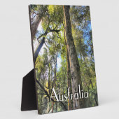 Eukalyptus Gum Trees Fotoplatte (Seite)