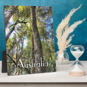 Eukalyptus Gum Trees Fotoplatte (Seite)
