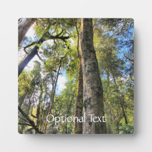 Eukalyptus Gum Trees Fotoplatte