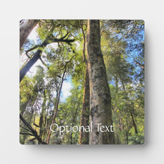 Eukalyptus Gum Trees Fotoplatte (Vorderseite)