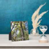 Eukalyptus Gum Trees Fotoplatte (InSitu)