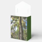 Eukalyptus Gum Trees Geschenkschachtel (Geöffnet)