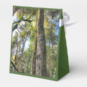 Eukalyptus Gum Trees Geschenkschachtel (Rückseite)