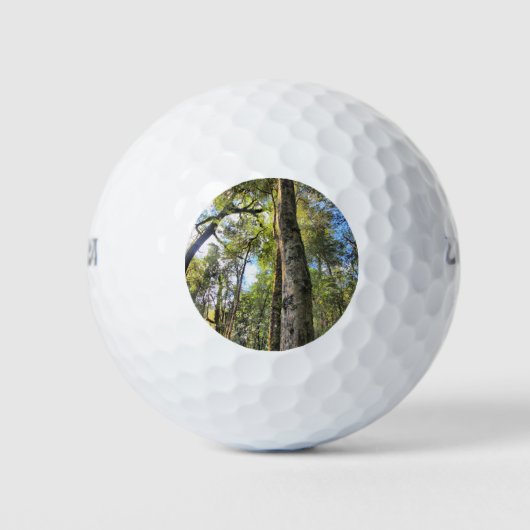 Eukalyptus Gum Trees Golfball (Vorderseite)