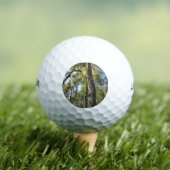 Eukalyptus Gum Trees Golfball (Insitu T-Shirt)