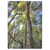 Eukalyptus Gum Trees Klemmbrett (Rückseite)