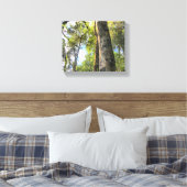 Eukalyptus Gum Trees Leinwanddruck (Insitu (Schlafzimmer))