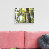Eukalyptus Gum Trees Leinwanddruck (Insitu (Wohnzimmer))