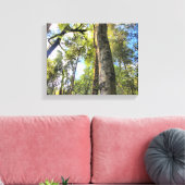 Eukalyptus Gum Trees Leinwanddruck (Insitu (Wohnzimmer))