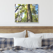 Eukalyptus Gum Trees Leinwanddruck (Insitu (Schlafzimmer))