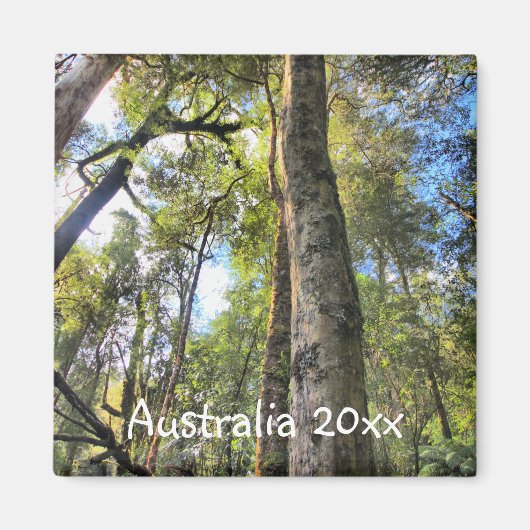 Eukalyptus Gum Trees Magnet (Vorne)
