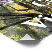 Eukalyptus Gum Trees Poster (Ecke)