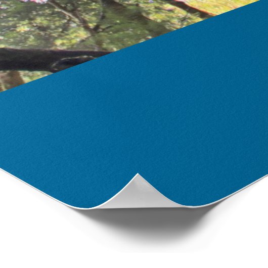 Eukalyptus Gum Trees Poster (Ecke)