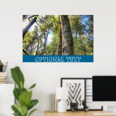 Eukalyptus Gum Trees Poster (Heimbüro)