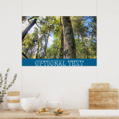 Eukalyptus Gum Trees Poster (Küche)