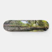 Eukalyptus Gum Trees Skateboard (Horizontal)