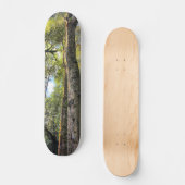 Eukalyptus Gum Trees Skateboard (Vorderseite)
