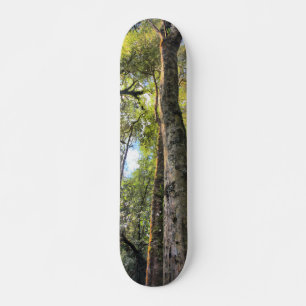 Eukalyptus Gum Trees Skateboard