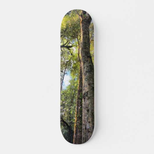 Eukalyptus Gum Trees Skateboard (Vorne)