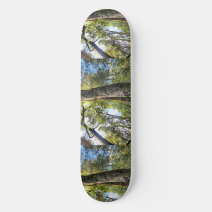 Eukalyptus Gum Trees Skateboard