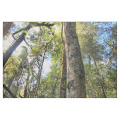 Eukalyptus Gum Trees Stoff (Yard (91,4 cm))