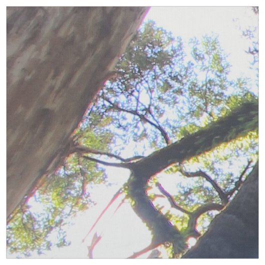 Eukalyptus Gum Trees Stoff (Muster)